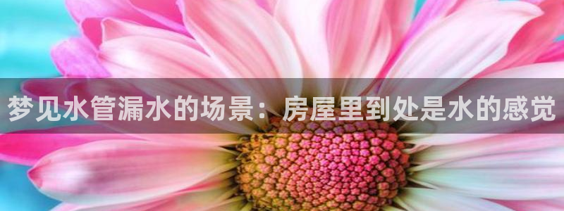 富邦娱乐国际