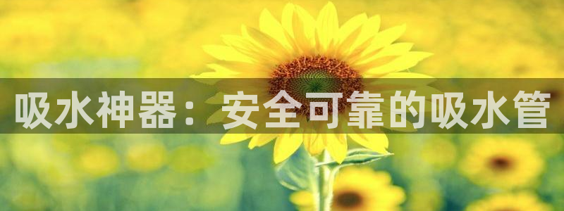 富邦翡翠娱乐怎么样知乎