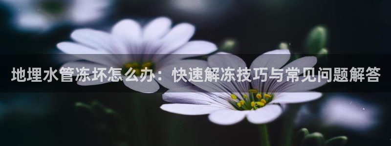 富邦电子娱乐网址