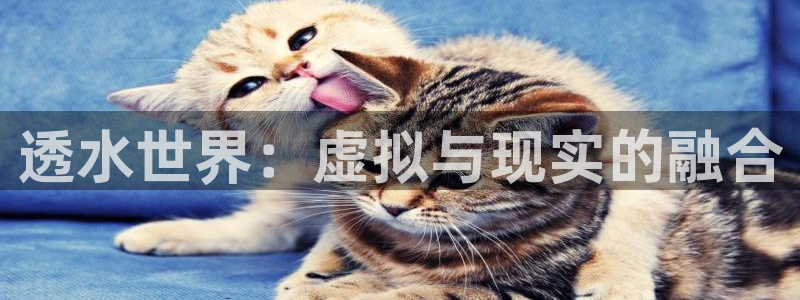 临平富邦娱乐总监山鸡
