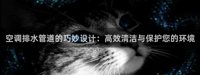 富邦娱乐彩票最新地址