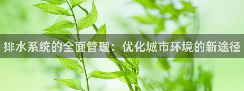 杭州临平富邦娱乐
