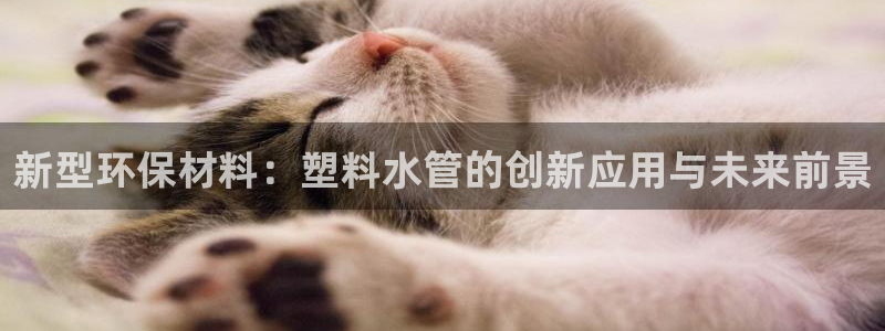富邦娱乐场官方下载