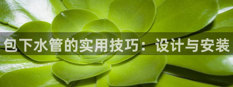 富邦娱乐平台登录网址