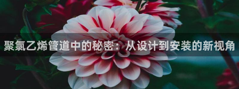 富邦娱乐注册-上全户网