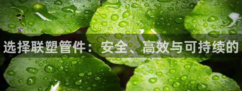 杭州临平富邦娱乐厅